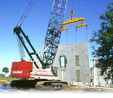 Crane 2 photo